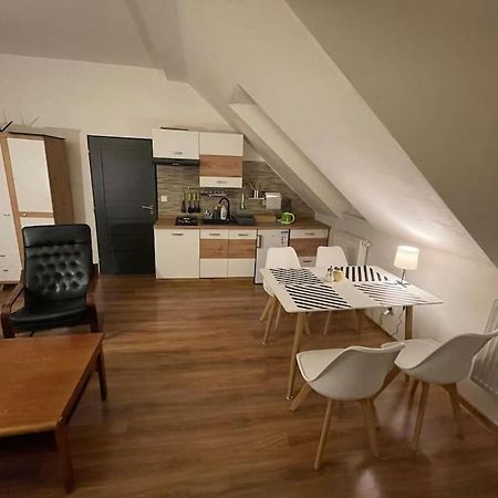 Francis Apartment - Lazenske Centrum Karlovy Vary Bagian luar foto