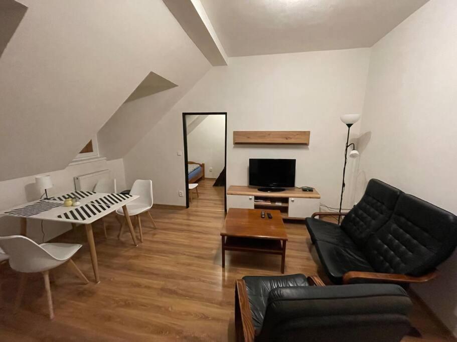 Francis Apartment - Lazenske Centrum Karlovy Vary Bagian luar foto