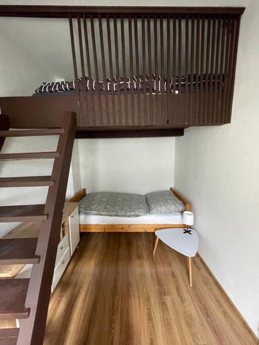 Francis Apartment - Lazenske Centrum Karlovy Vary Bagian luar foto