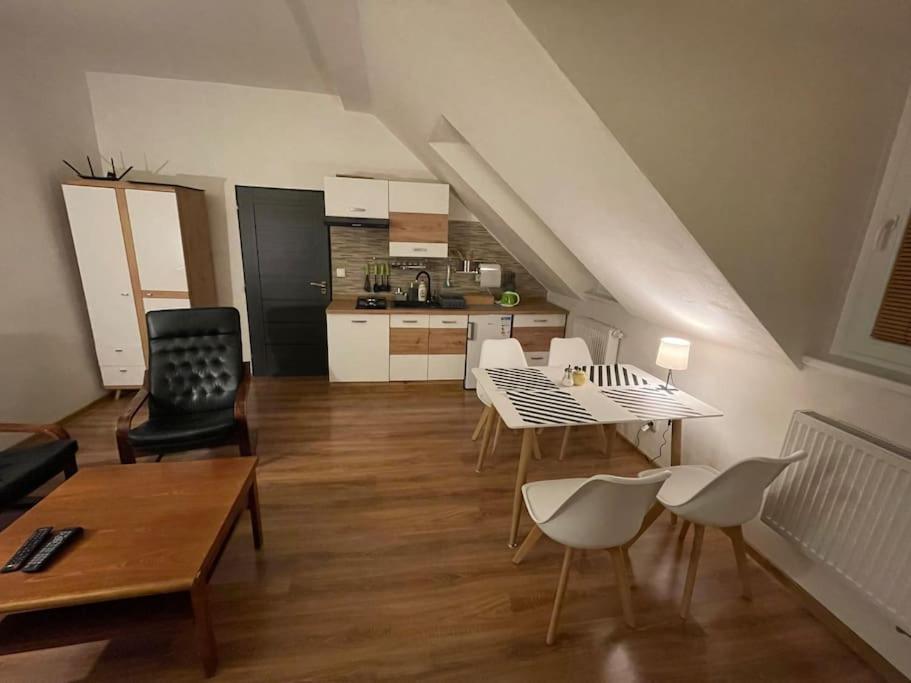 Francis Apartment - Lazenske Centrum Karlovy Vary Bagian luar foto